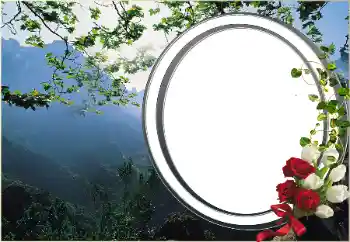 श्रेणी से फ़ोटो प्रभाव विभिन्न № 16920