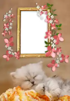 श्रेणी से फ़ोटो प्रभाव विभिन्न № 169232 श्रेणी से फ़ोटो प्रभाव विभिन्न № 169232