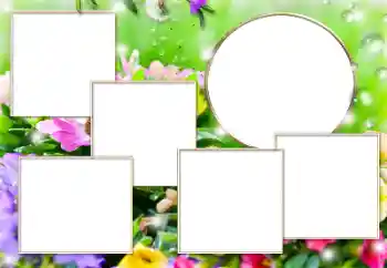 श्रेणी से फ़ोटो प्रभाव विभिन्न № 169279 श्रेणी से फ़ोटो प्रभाव विभिन्न № 169279