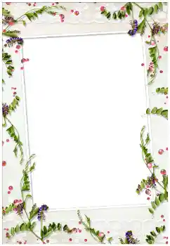 श्रेणी से फ़ोटो प्रभाव विभिन्न № 17020