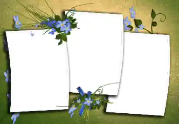 श्रेणी से फ़ोटो प्रभाव विभिन्न № 170395