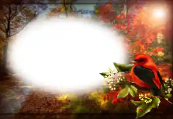 श्रेणी से फ़ोटो प्रभाव विभिन्न № 170400