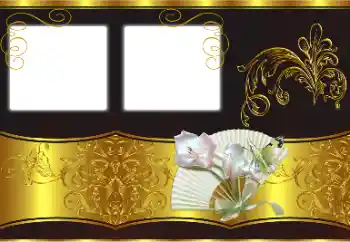 श्रेणी से फ़ोटो प्रभाव विभिन्न № 170524