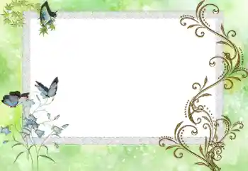 श्रेणी से फ़ोटो प्रभाव विभिन्न № 17086