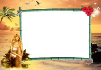 श्रेणी से फ़ोटो प्रभाव विभिन्न № 17101