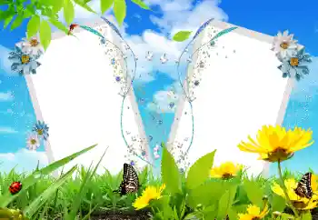 श्रेणी से फ़ोटो प्रभाव विभिन्न № 17121