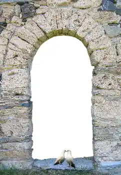 श्रेणी से फ़ोटो प्रभाव विभिन्न № 171681 श्रेणी से फ़ोटो प्रभाव विभिन्न № 171681