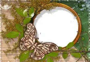 श्रेणी से फ़ोटो प्रभाव विभिन्न № 17189