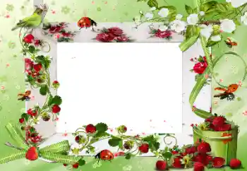 श्रेणी से फ़ोटो प्रभाव विभिन्न № 172917 श्रेणी से फ़ोटो प्रभाव विभिन्न № 172917