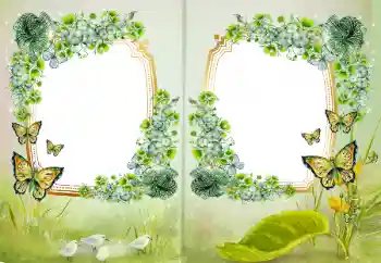 श्रेणी से फ़ोटो प्रभाव विभिन्न № 172968