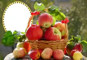 श्रेणी से फ़ोटो प्रभाव विभिन्न № 173030 श्रेणी से फ़ोटो प्रभाव विभिन्न № 173030