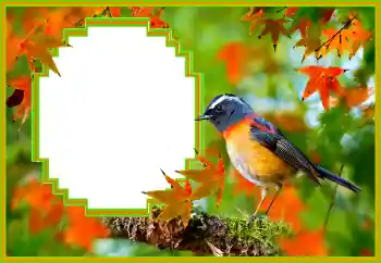 श्रेणी से फ़ोटो प्रभाव विभिन्न № 173036 श्रेणी से फ़ोटो प्रभाव विभिन्न № 173036