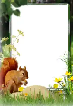 श्रेणी से फ़ोटो प्रभाव विभिन्न № 174270 श्रेणी से फ़ोटो प्रभाव विभिन्न № 174270