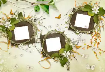 श्रेणी से फ़ोटो प्रभाव विभिन्न № 175577 श्रेणी से फ़ोटो प्रभाव विभिन्न № 175577