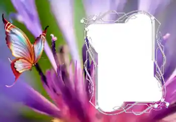 श्रेणी से फ़ोटो प्रभाव विभिन्न № 176776 श्रेणी से फ़ोटो प्रभाव विभिन्न № 176776