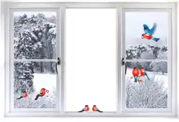 श्रेणी से फ़ोटो प्रभाव विभिन्न № 177876