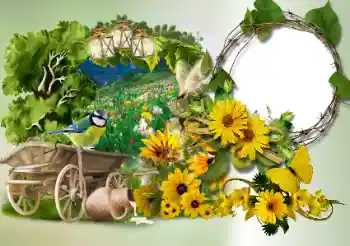 श्रेणी से फ़ोटो प्रभाव विभिन्न № 180773 श्रेणी से फ़ोटो प्रभाव विभिन्न № 180773