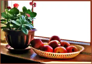 श्रेणी से फ़ोटो प्रभाव विभिन्न № 180838 श्रेणी से फ़ोटो प्रभाव विभिन्न № 180838