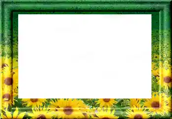 श्रेणी से फ़ोटो प्रभाव विभिन्न № 1816