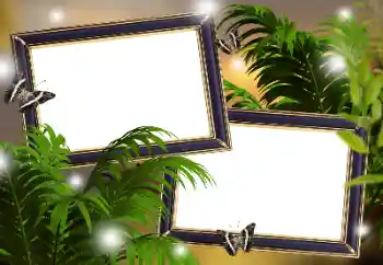 श्रेणी से फ़ोटो प्रभाव विभिन्न № 181982 श्रेणी से फ़ोटो प्रभाव विभिन्न № 181982