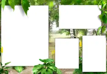 श्रेणी से फ़ोटो प्रभाव विभिन्न № 182015 श्रेणी से फ़ोटो प्रभाव विभिन्न № 182015