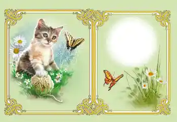 श्रेणी से फ़ोटो प्रभाव विभिन्न № 182126 श्रेणी से फ़ोटो प्रभाव विभिन्न № 182126