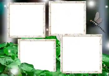 श्रेणी से फ़ोटो प्रभाव विभिन्न № 182236 श्रेणी से फ़ोटो प्रभाव विभिन्न № 182236