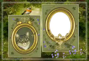 श्रेणी से फ़ोटो प्रभाव विभिन्न № 183530 श्रेणी से फ़ोटो प्रभाव विभिन्न № 183530