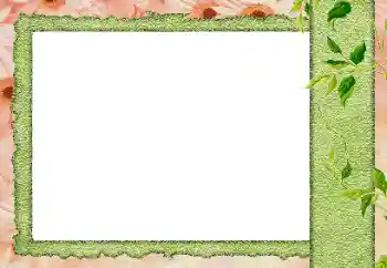 श्रेणी से फ़ोटो प्रभाव विभिन्न № 184589 श्रेणी से फ़ोटो प्रभाव विभिन्न № 184589