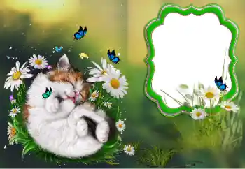 श्रेणी से फ़ोटो प्रभाव विभिन्न № 184694 श्रेणी से फ़ोटो प्रभाव विभिन्न № 184694