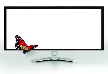 श्रेणी से फ़ोटो प्रभाव विभिन्न № 185816 श्रेणी से फ़ोटो प्रभाव विभिन्न № 185816