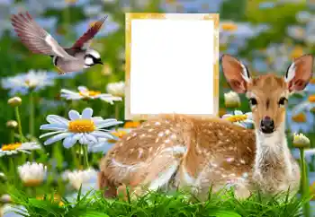 श्रेणी से फ़ोटो प्रभाव विभिन्न № 185878 श्रेणी से फ़ोटो प्रभाव विभिन्न № 185878