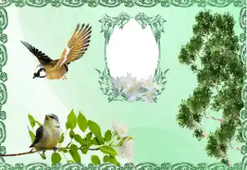 श्रेणी से फ़ोटो प्रभाव विभिन्न № 185981 श्रेणी से फ़ोटो प्रभाव विभिन्न № 185981