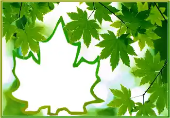 श्रेणी से फ़ोटो प्रभाव विभिन्न № 186022 श्रेणी से फ़ोटो प्रभाव विभिन्न № 186022