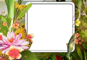 श्रेणी से फ़ोटो प्रभाव विभिन्न № 188076 श्रेणी से फ़ोटो प्रभाव विभिन्न № 188076