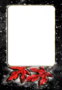 श्रेणी से फ़ोटो प्रभाव विभिन्न № 188187 श्रेणी से फ़ोटो प्रभाव विभिन्न № 188187