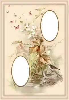 श्रेणी से फ़ोटो प्रभाव विभिन्न № 190550 श्रेणी से फ़ोटो प्रभाव विभिन्न № 190550