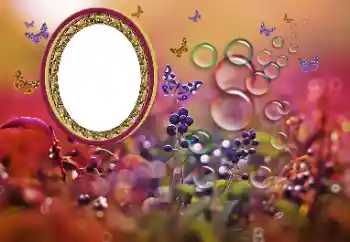 श्रेणी से फ़ोटो प्रभाव विभिन्न № 191700 श्रेणी से फ़ोटो प्रभाव विभिन्न № 191700