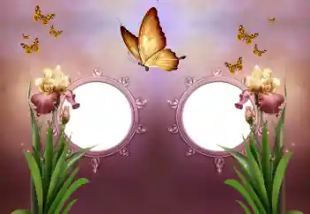 श्रेणी से फ़ोटो प्रभाव विभिन्न № 191737 श्रेणी से फ़ोटो प्रभाव विभिन्न № 191737