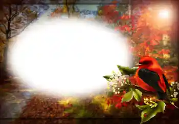 श्रेणी से फ़ोटो प्रभाव विभिन्न № 191759 श्रेणी से फ़ोटो प्रभाव विभिन्न № 191759