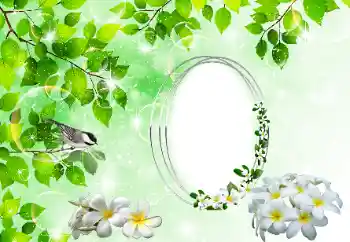 श्रेणी से फ़ोटो प्रभाव विभिन्न № 196398 श्रेणी से फ़ोटो प्रभाव विभिन्न № 196398