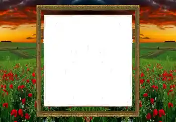 श्रेणी से फ़ोटो प्रभाव विभिन्न № 196520 श्रेणी से फ़ोटो प्रभाव विभिन्न № 196520