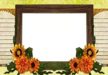 श्रेणी से फ़ोटो प्रभाव विभिन्न № 196538 श्रेणी से फ़ोटो प्रभाव विभिन्न № 196538