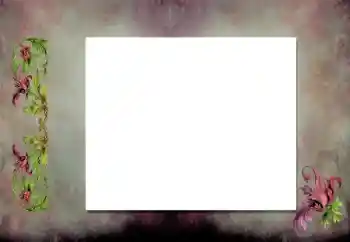 श्रेणी से फ़ोटो प्रभाव विभिन्न № 198919