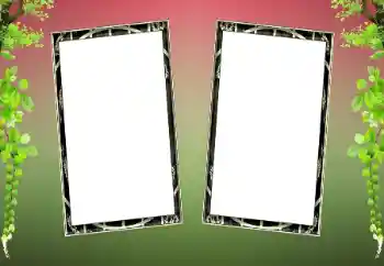 श्रेणी से फ़ोटो प्रभाव विभिन्न № 200080