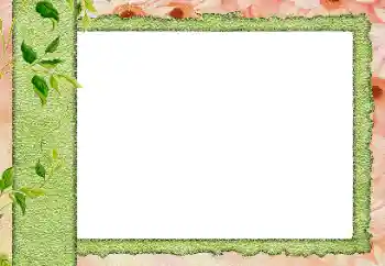 श्रेणी से फ़ोटो प्रभाव विभिन्न № 20242