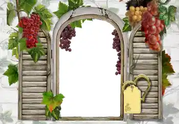 श्रेणी से फ़ोटो प्रभाव विभिन्न № 20247