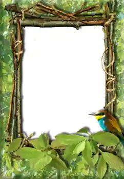 श्रेणी से फ़ोटो प्रभाव विभिन्न № 20272