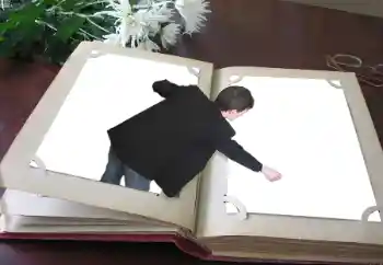 श्रेणी से फ़ोटो प्रभाव विभिन्न № 20296