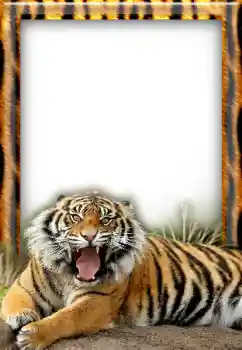 श्रेणी से फ़ोटो प्रभाव विभिन्न № 20297